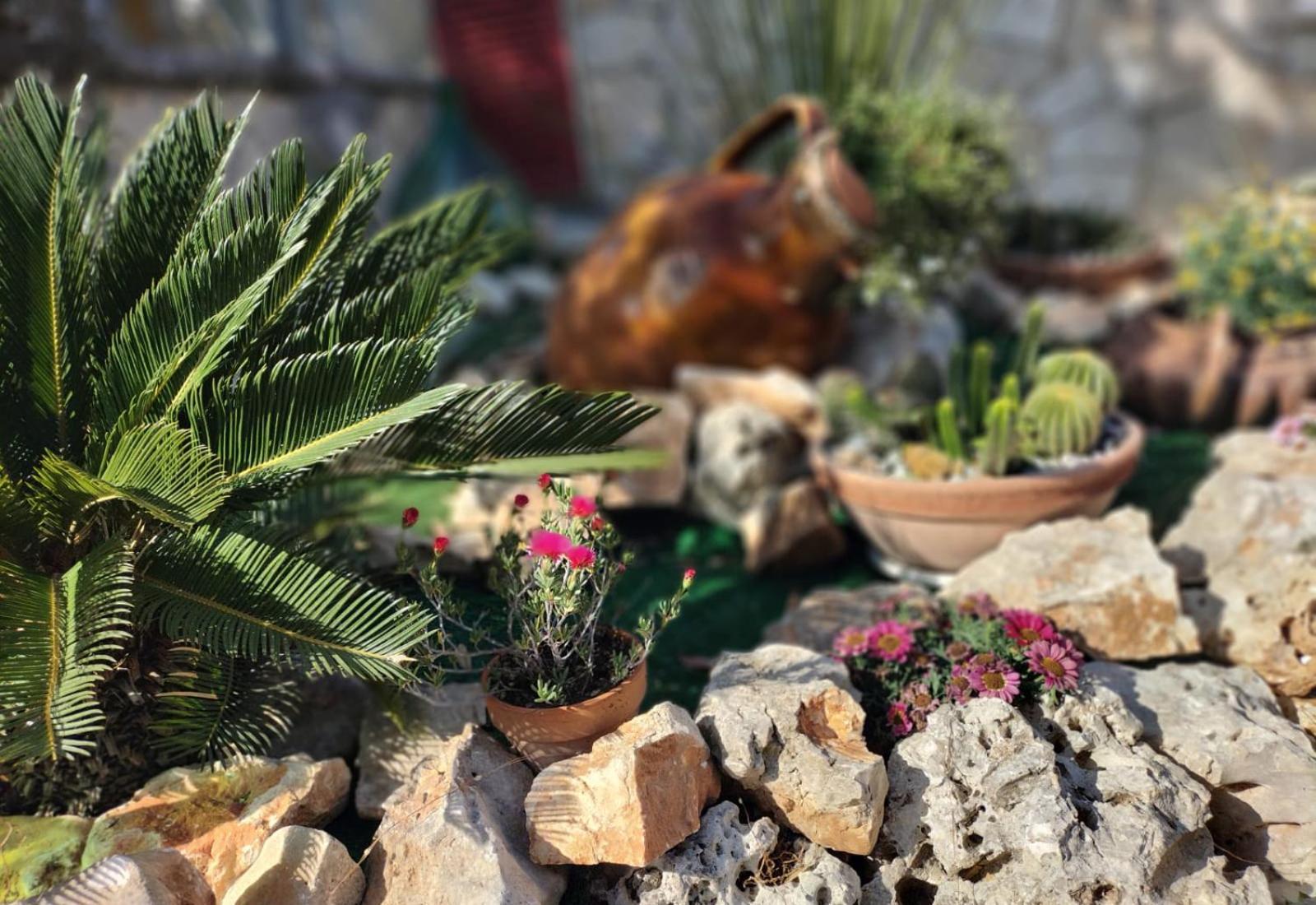 Отель Il Giardino Delle Fate La Correggia Экстерьер фото