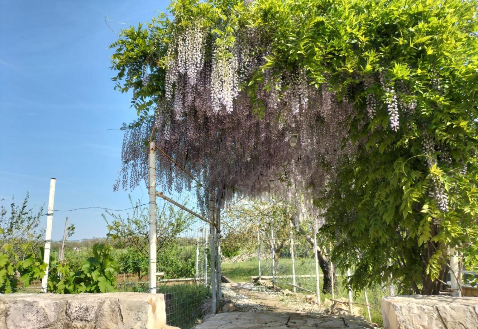 Отель Il Giardino Delle Fate La Correggia Экстерьер фото